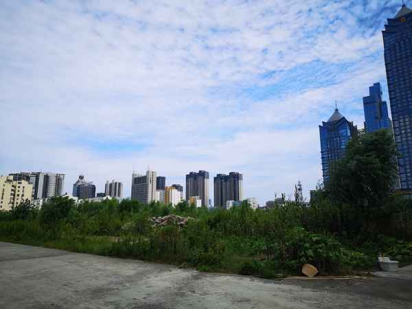 金大地房产-金大地集团