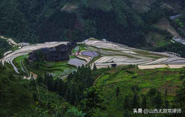 技術服務類合同模板_采購合同模板免費下載