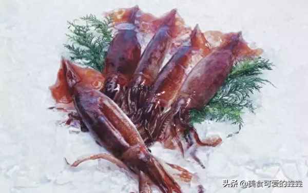 魷魚須的功效與作用、魷魚須的功效與作用圖片