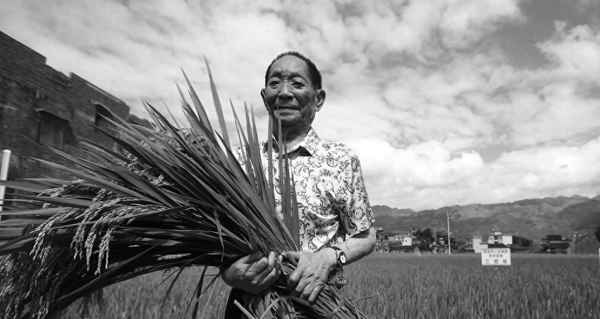 稻谷遗存的历史信息;稻谷遗存是哪个遗址