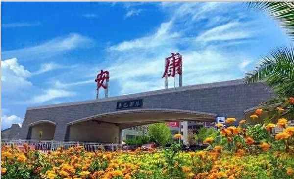 普法心得觀后感300字(普法心得觀后感300字怎么寫)