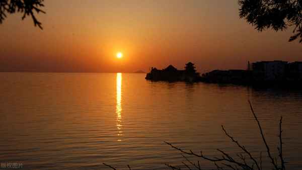 相逢秋月满更值夜萤飞的翻译_相逢秋月满是什么意思