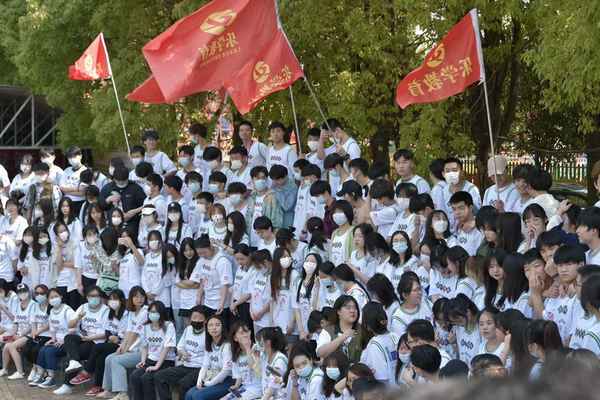 艺考生文化课,艺考生文化课回学校还是去机构