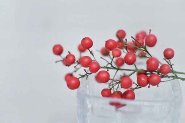 唐诗三百首古诗大全300首下载—唐诗三百首古诗大全300首下载安装