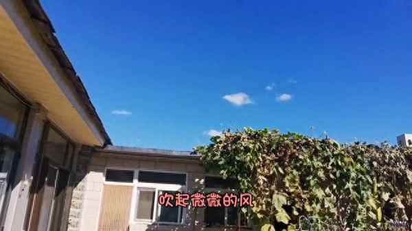 在拼多多上買蘋果手機_拼多多如何避雷