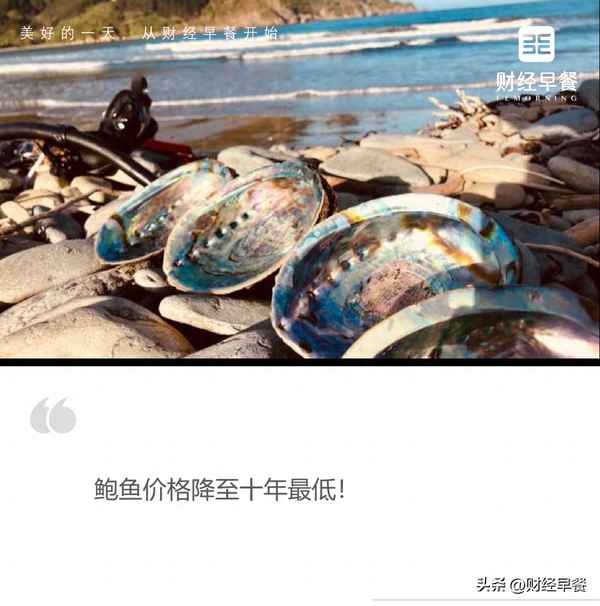 财经杂志鲍;财经报刊选读