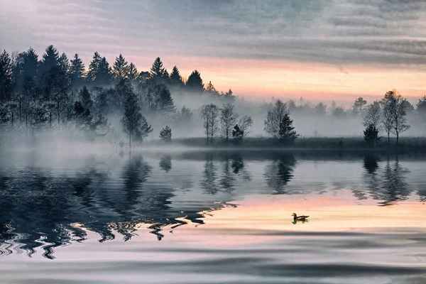 陆游诗三万里河东入海_陆游的三万里河东入海