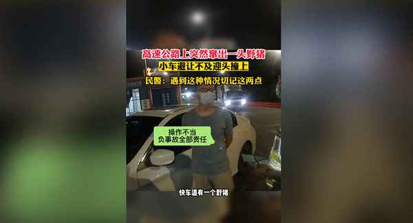 车撞野猪怎么处理、车被野猪撞了怎么赔偿