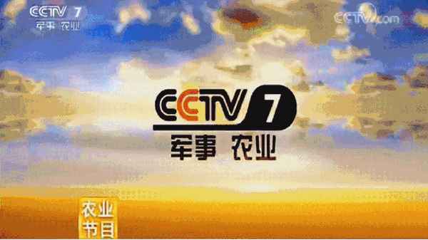 開榨油坊的前景如何-開一個榨油坊需投資多少錢