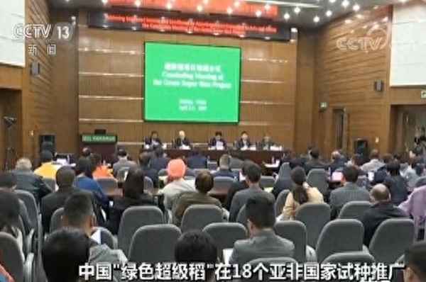 綠色超級稻走進亞非國家_綠色水稻國家標準
