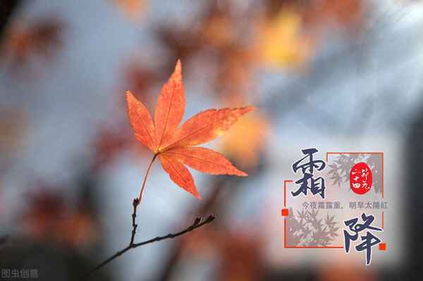 如何正確煮羊雜湯(煮羊雜湯的做法和配料視頻)
