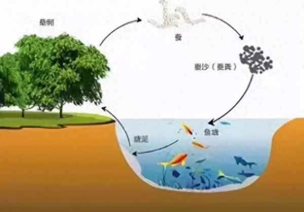 立體農業和垂直農業;立體農業和垂直農業一樣嗎