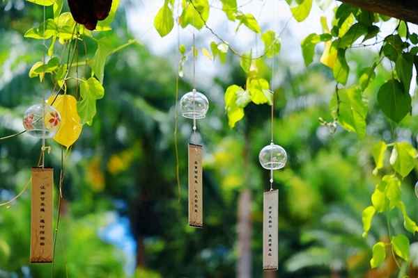 却道天凉好个秋的理解;却道天凉好个秋蕴含的感情