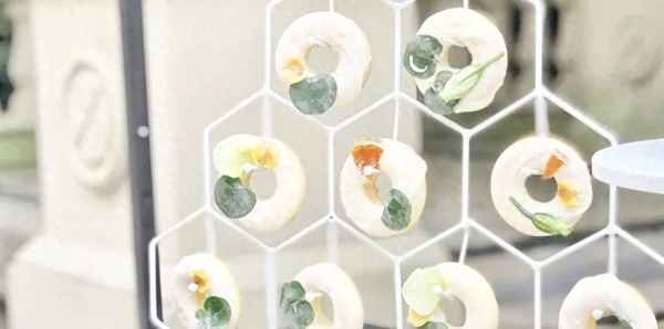 打赡养官司要多少费用-打赡养费官司流程