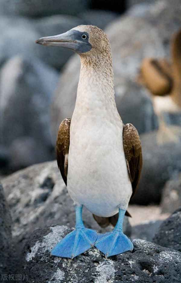 中国台风最严重的一次(中国台风最严重的一次几级)