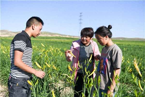 宁夏吴忠市太阳山的由来(银川太阳山在哪里)