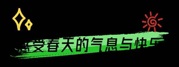 史努比摩托車價格_史努比機車