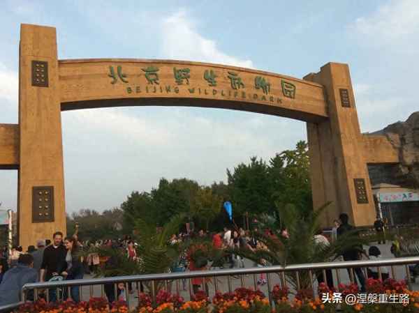 中國十大動(dòng)物園排名(中國十大動(dòng)物園排名榮成第幾)