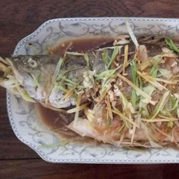 如何清蒸桂魚好吃又簡單竅門、如何清蒸桂魚好吃又簡單竅門視頻