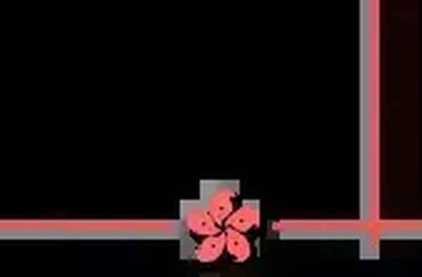 广州侨光财经专修学院;广州侨光财经专修学院是什么学校