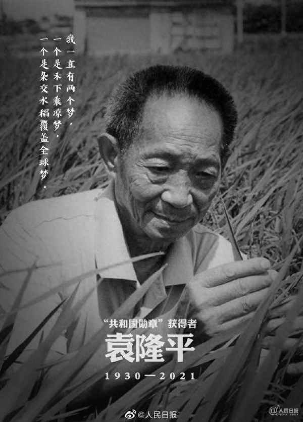 袁隆平的事跡和成就-袁隆平的事跡和成就50字