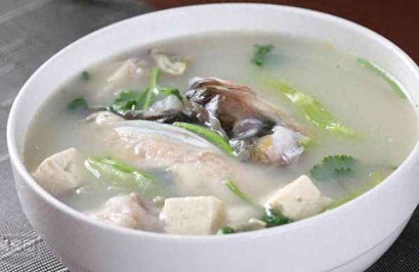 鰱魚(yú)豆腐湯的營(yíng)養價(jià)值及功效,鰱魚(yú)豆腐湯的營(yíng)養價(jià)值及功效與禁忌