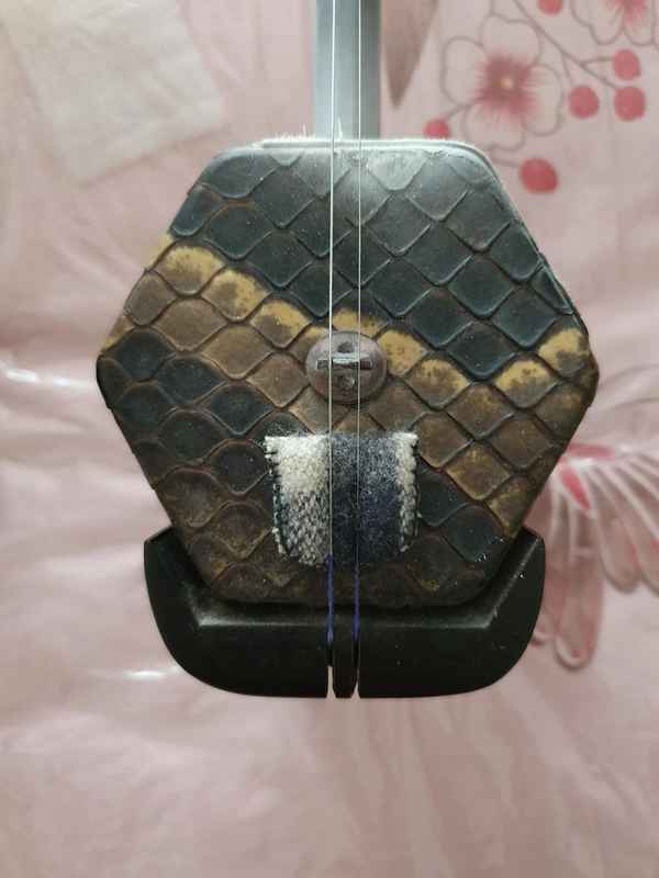 買二胡在哪里買可靠(什么樣的二胡音質最好)