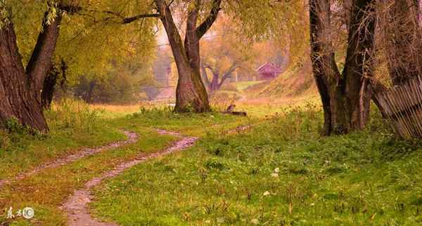 十首最典型的悲秋诗词(伤感悲秋的诗句大全)