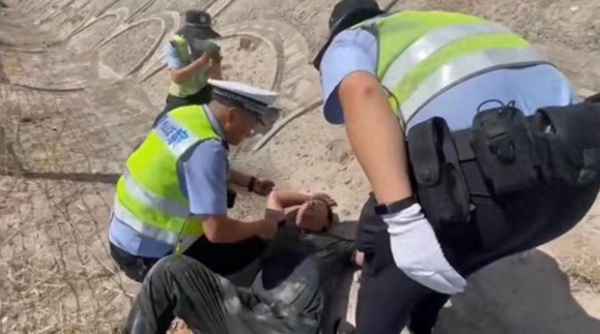 人头蜂会蜇死人吗、人头蜂蜇每天的发展过程