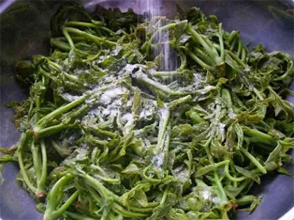 腌香椿怎么做好吃,腌香椿的做法大全家常