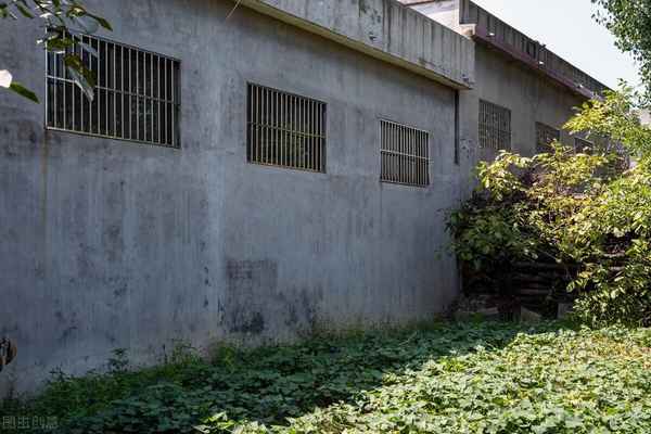 農村房產證丟了怎么補辦,農村辦房產證去哪個部門