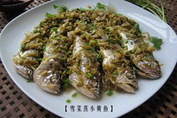 清蒸雪菜黃魚的正宗做法竅門(雪菜清蒸小黃魚的做法竅門)