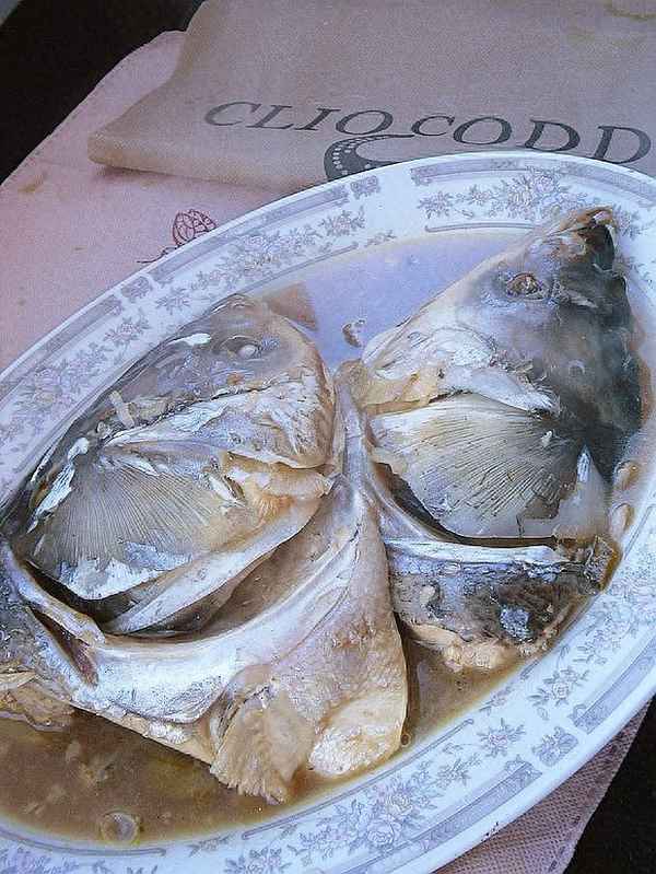 清燉魚頭湯直接放水里清凍嗎-清燉魚頭燉多久