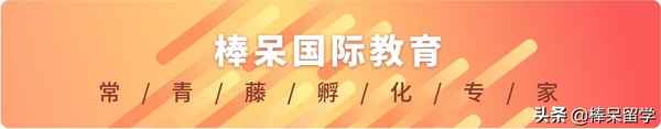 搗蛋鬼日記收獲20字(搗蛋鬼日記收獲20字左右)