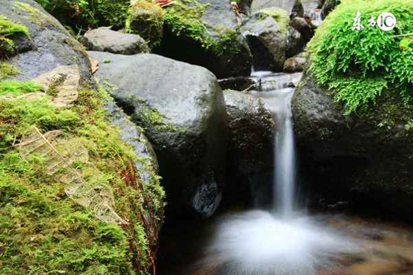 热毒宁和地塞米松能和用吗;热毒宁与哪些药可配伍