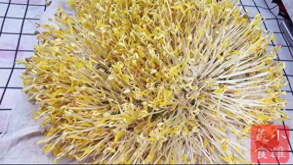 居家隔離豆芽多久可以發(fā)芽_居家隔離觀(guān)察幾天