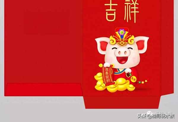 家里養(yǎng)什么魚最旺財(cái)(不宜養(yǎng)魚的4個(gè)屬相)