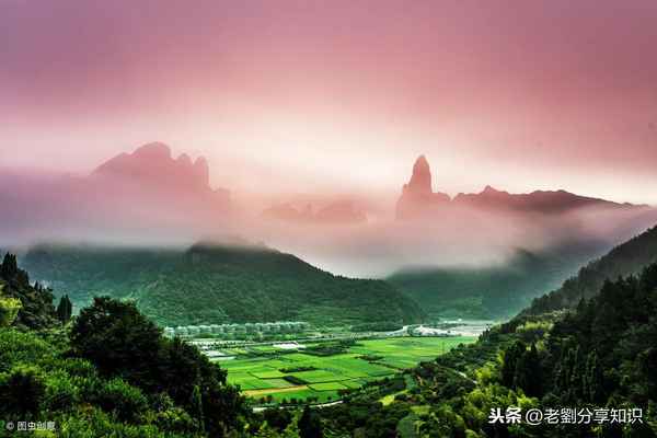 陇螺财经
