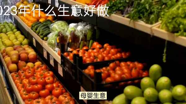 2023能干的行業、2023干什么行業掙錢