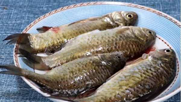 清湯水煮肉片怎么煮又嫩又好吃(清湯水煮肉片怎么煮又嫩又好吃視頻)