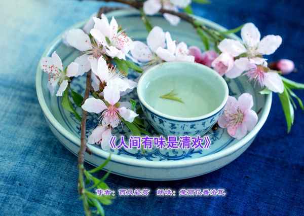 人间至味是清欢的作者—人间至味是清欢的作者是谁