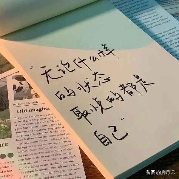 有人视枯叶为华章什么意思(有人视我为敝履是什么意思)