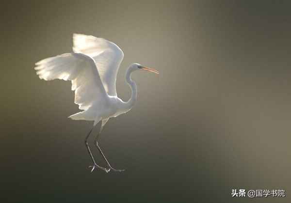 七言對聯1000幅—關于健康的對聯七言