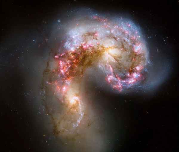 寰球恒星教育、重慶環球教育