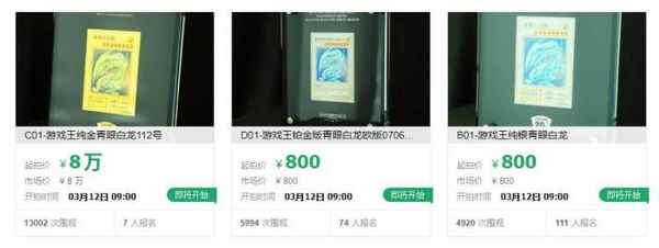 白龙财经,白龙百科