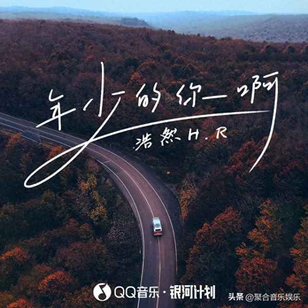 你的青春歌詞是什么歌;一個女的唱的歌詞里有青春