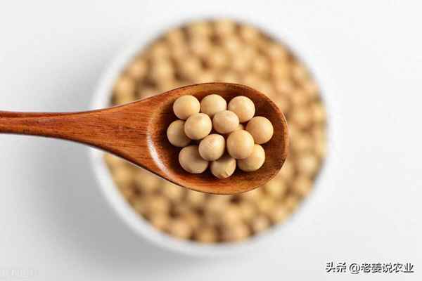 今日全国大豆价格一览表;2023年秋预估大豆价格