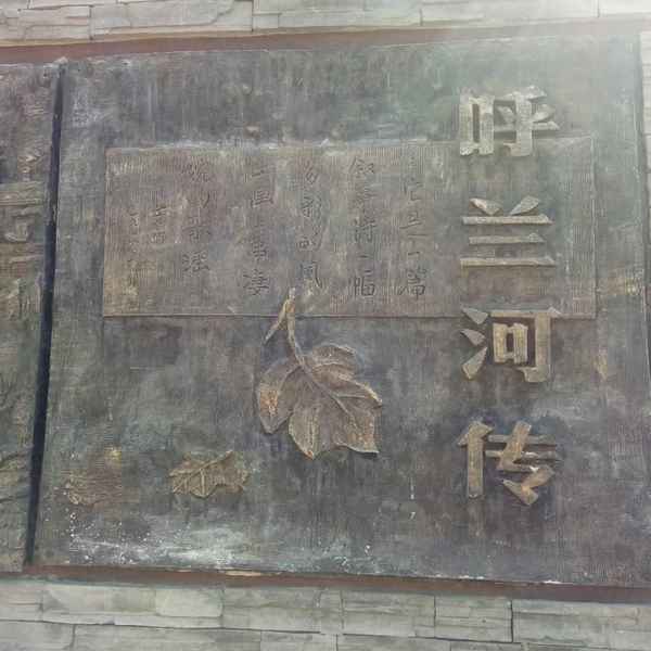 呼蘭河傳心得體會_呼蘭河傳心得體會1000字