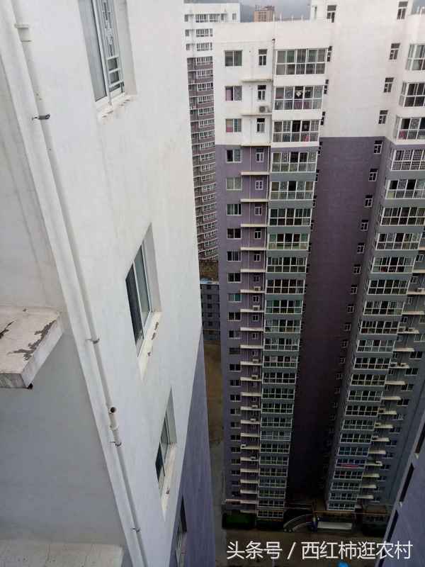彬县房产(彬县房产管理中心电话)