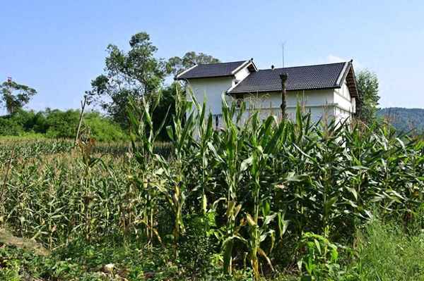 房产拆迁律师-房屋拆迁律师免费咨询